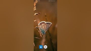 الآيات(من 38القصص~15العنكبوت)تقدمة لرواية الدُّوري للشيخ عبدالحكيم عبد اللطيف