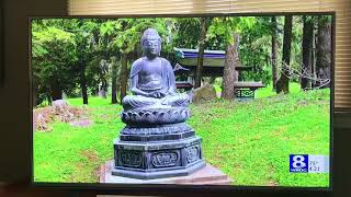 John Kucko showcases Sonnenberg Garden's