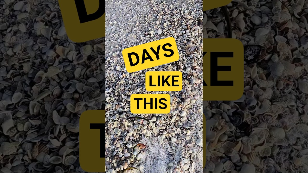 В такие дни не торопитесь 👀 