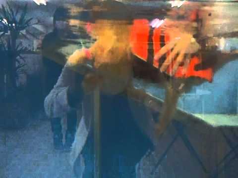 ドッグプール