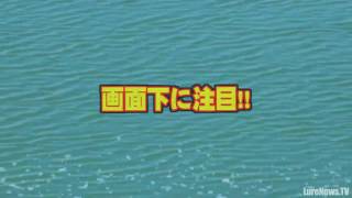 村上晴彦-夏野池-禁断のテク公開-その5(5/8)