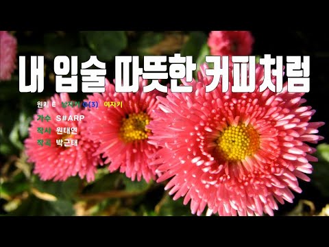[은성 반주기] 내입술따뜻한커피처럼 - S#ARP