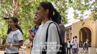 Mandarin II Group Assignment