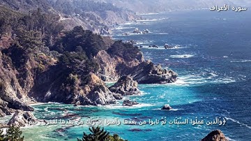 قرآن كريم بصوت القارئ: ياسر الدوسري || أجمل حالات واتس اب دينيه || تلاوة خاشعة 🌿