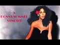 A donna summer sampler     she could sing it all folks