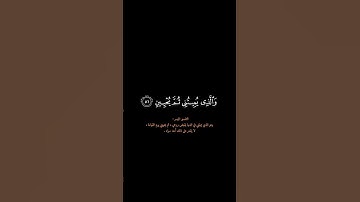 الذي خلقني فهو يهدين | كرومات قرآن كريم شاشة سوداء بصوت الشيخ #بندر_بليلة #سورة_الشعراء
