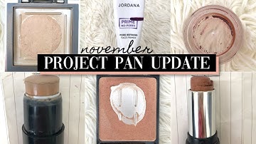 PROJECT PAN CHECK IN | A very exciting update!