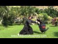 Aikijutsu  the martial art of the samurai