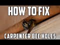 Fixing Carpenter Bee Holes