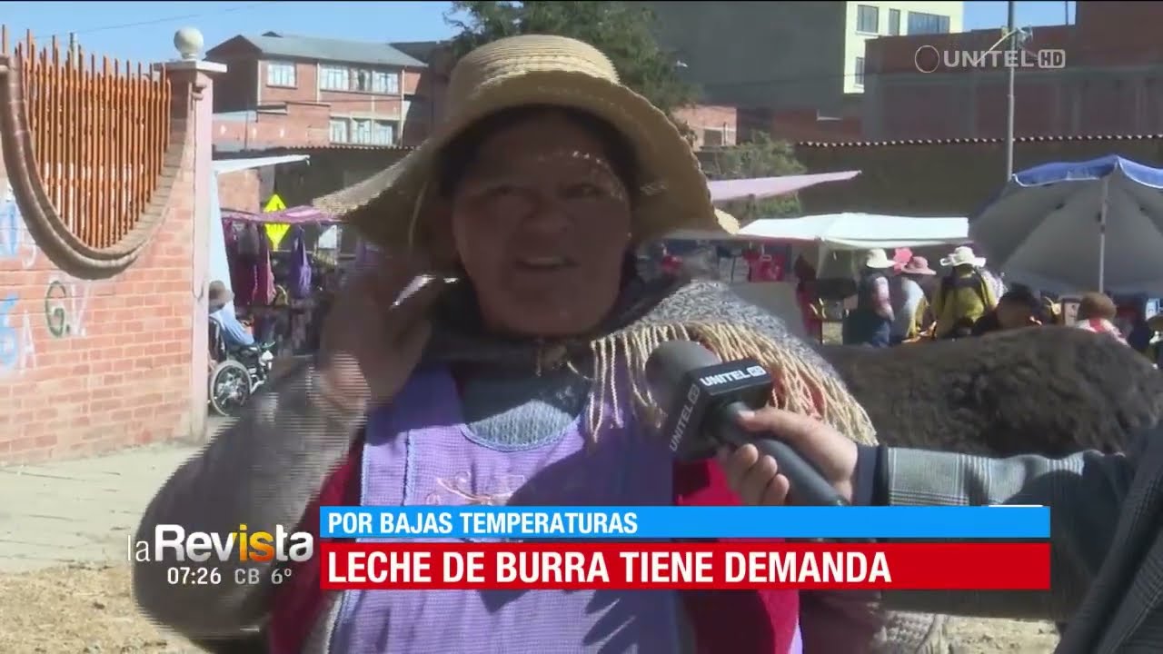 Consumo de leche de burra se incrementa en esta época ¿para qué sirve este producto?
