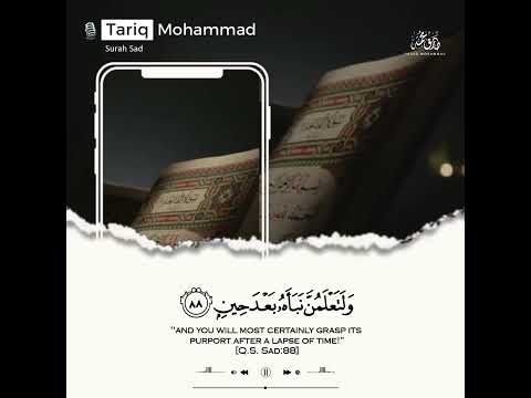 آية قصيرة من سورة ص تلاوة قرآنية قصيرة طارق محمد