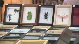 Dozens of Forest Park garages turn into art galleries for annual event