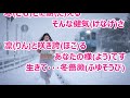 冬薔薇/野村美菜 カラオケ