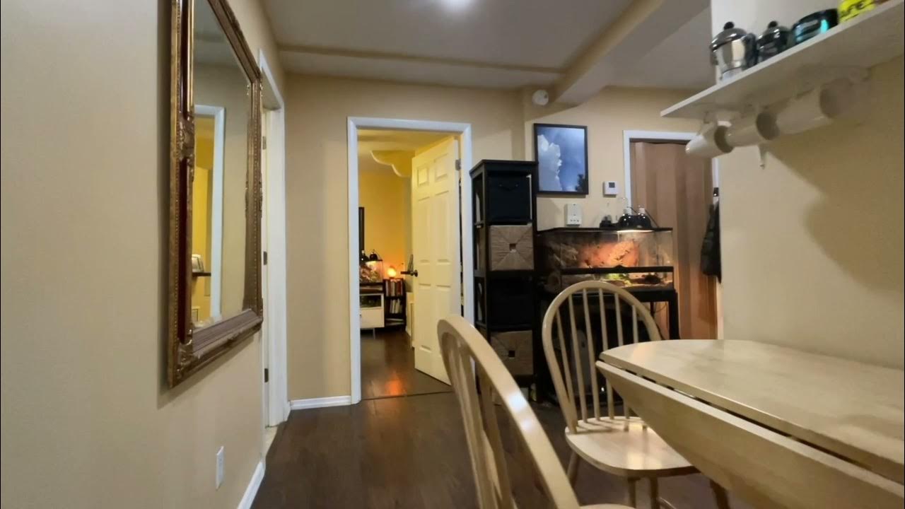 NYC Apartments for Sale Brooklyn YouTube