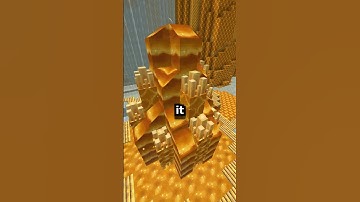 Entering a Minecraft Beehive?