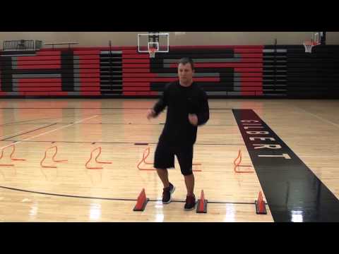 Mini Hurdle Hop   Lateral