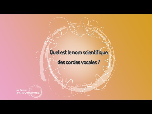 Quel est le nom scientifique des cordes vocales ? - Eva Arnaud