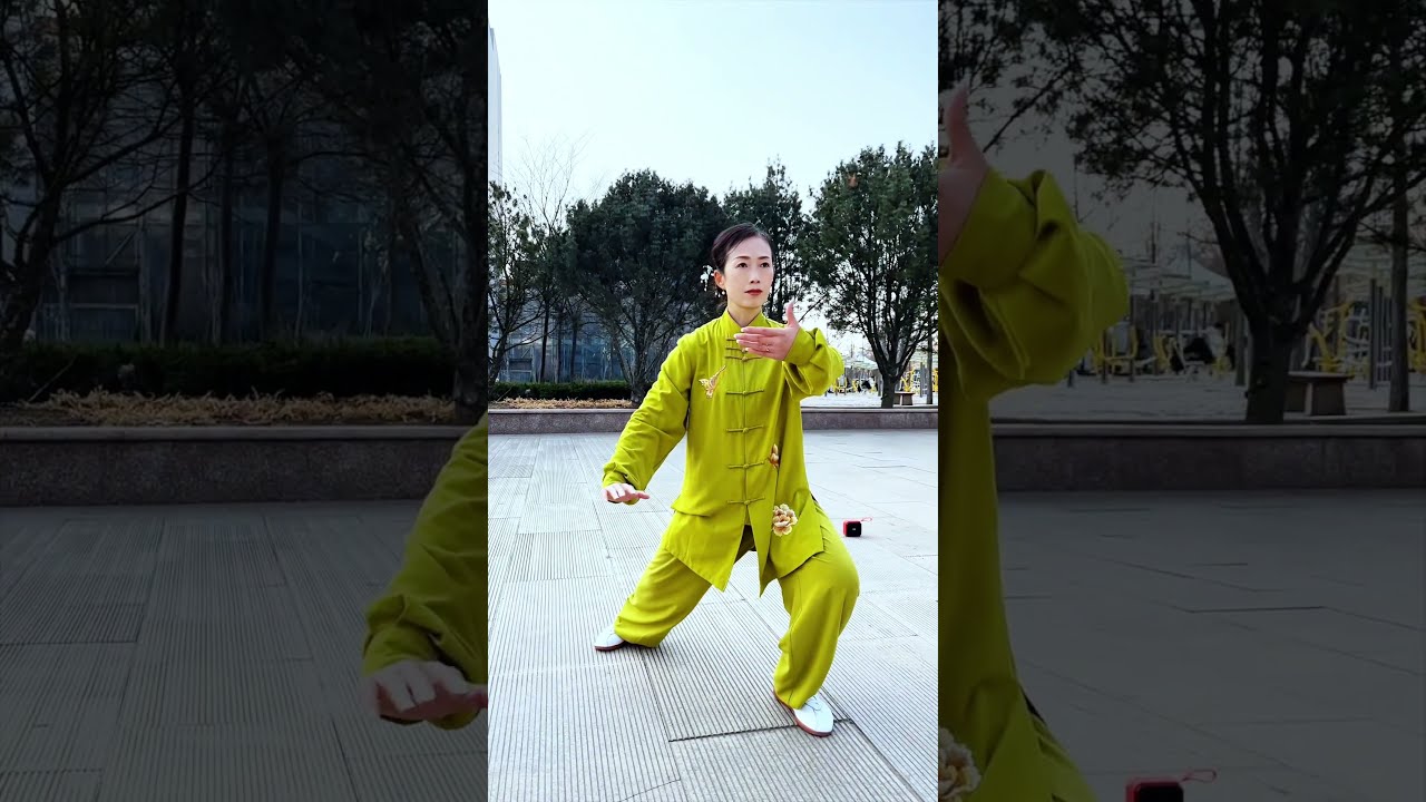 42式太极拳每日一练#taichi #太极拳#taichiquan #kungfu
