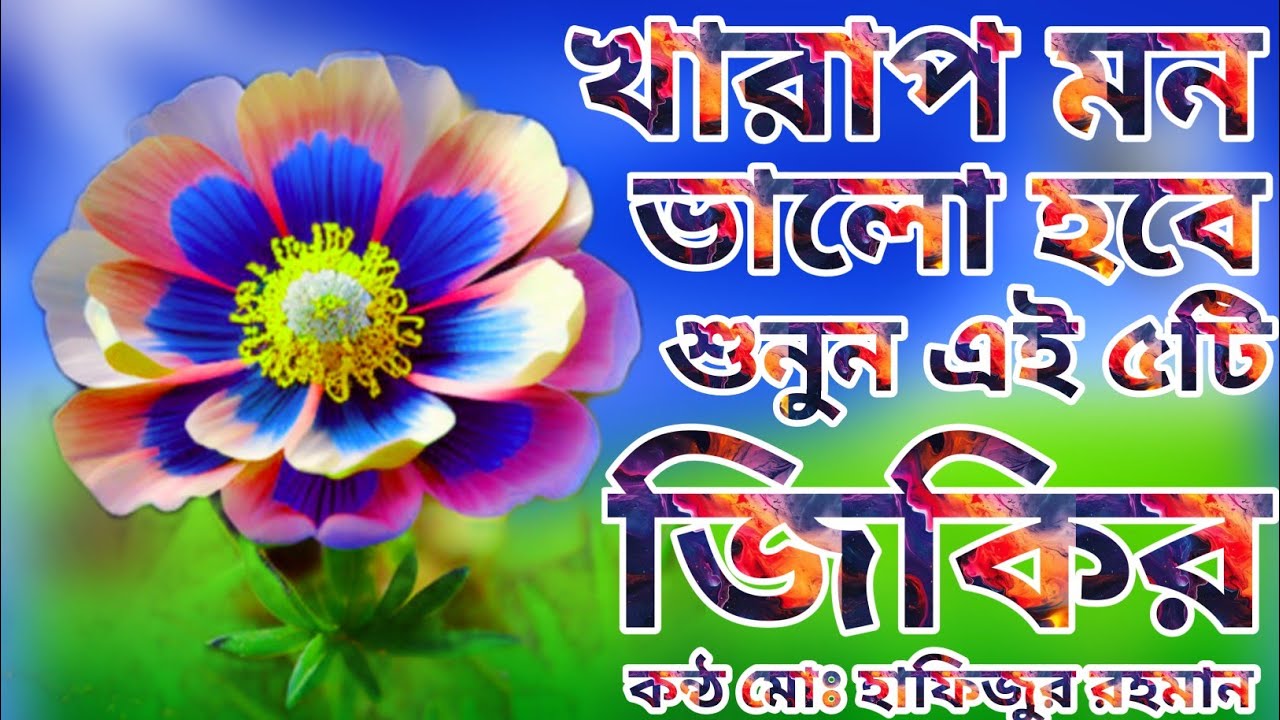 খারাপ মন ভালো হবে ইনশাআল্লাহ একবার শুনুন এই ৫টি জিকির লিরিক্স কন্ঠ মোঃ হাফিজুর রহমান jikir lirics