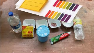 Testing pH level using homemade pH paper