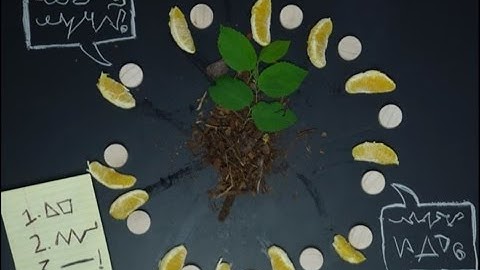 How Does the Commons Work?