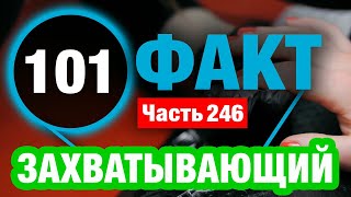 картинка: 101 Непостижимый Факт В Который Вы Не Поверите
