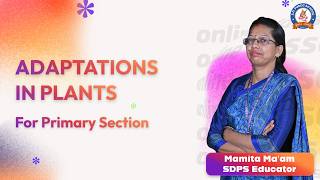 Adaptations in Plants | How Plants Survive in Different Environments | SDPS Online Classes