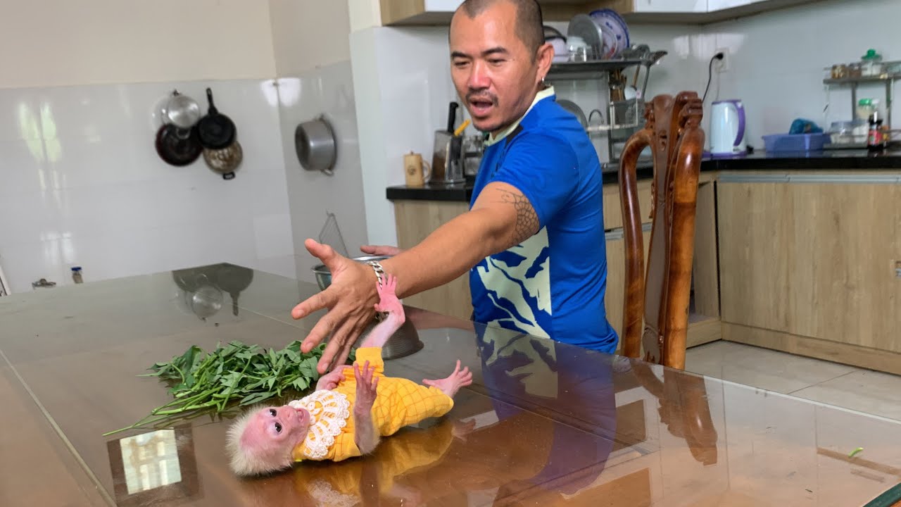 Dad accidentally make fall Luk and Luk angry dad