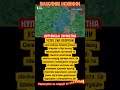 🔥 ЗСУ заблокували ворога в Куп’янську! Північний захід міста очищено!