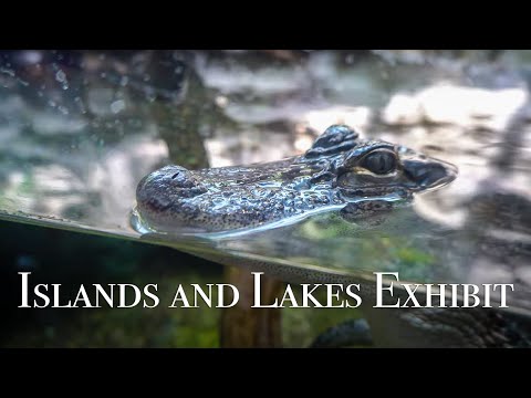 shedd-aquarium---islands-and-lakes-exhibit