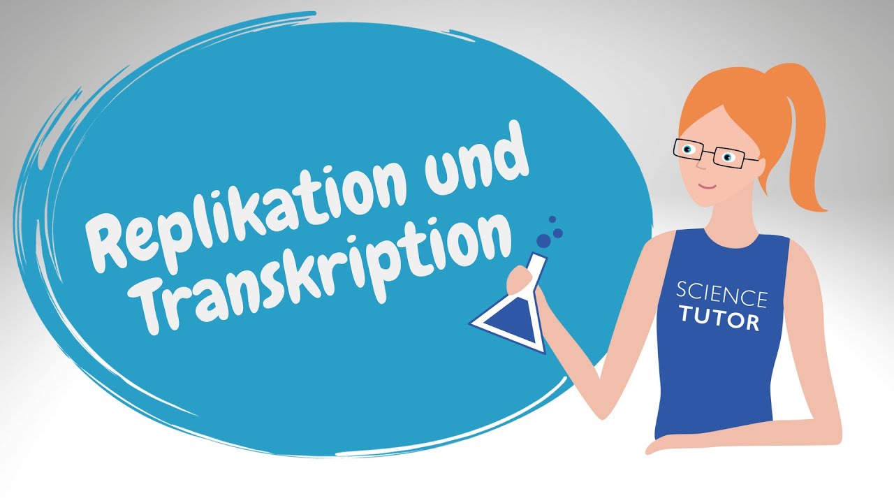 Replikation und Transkription – Unterschiede und Gemein… — Transcript