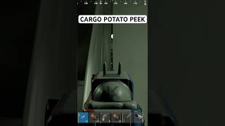 potato graphics unfortunately on top 😰#rustgame #rusttips