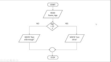 How to Create a Flowchart for Programming Part 5 - IF Decisions