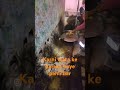 Desnok aali dokari 🙏🙏🙏