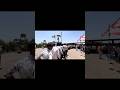#comedy #india #funny #viral #gujaratvlog #shortvideo #subscribe #comedyshorts #sad #bhesan #new