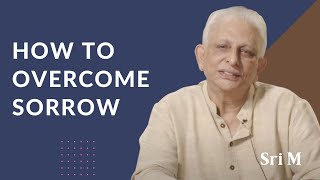 How to overcome sorrow and find lasting happiness | Sri M