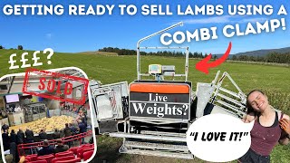 Checking Our Lambs Using A Combi Clamp