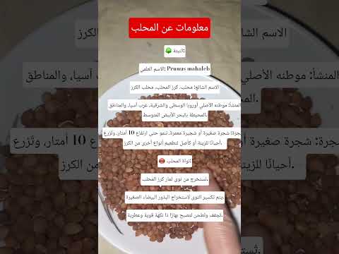معلومات عن المحلب اكسبلور معلومات عامة معلومات ترند فوائد المحلب  معلومات عامه