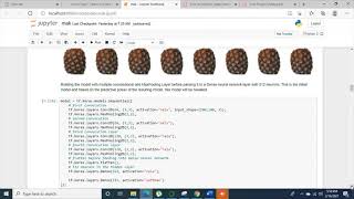 fruit classification using cnn