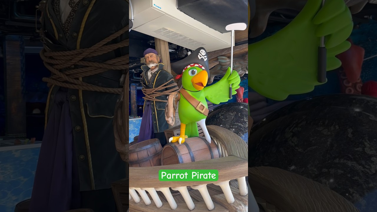 Funny Parrot Pirate, Canada 🇨🇦