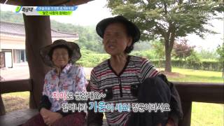 [HIT] VJ 특공대 - 쓰러질 듯 쓰러지지 않는, 한국판 피사의 사탑!.20150626