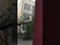 Ураган Москва дерево упало на школу