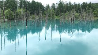 JR Hokkaido Journey Day 3 | Abashiri to Furano | A Blue Pond and Lavender Flowers