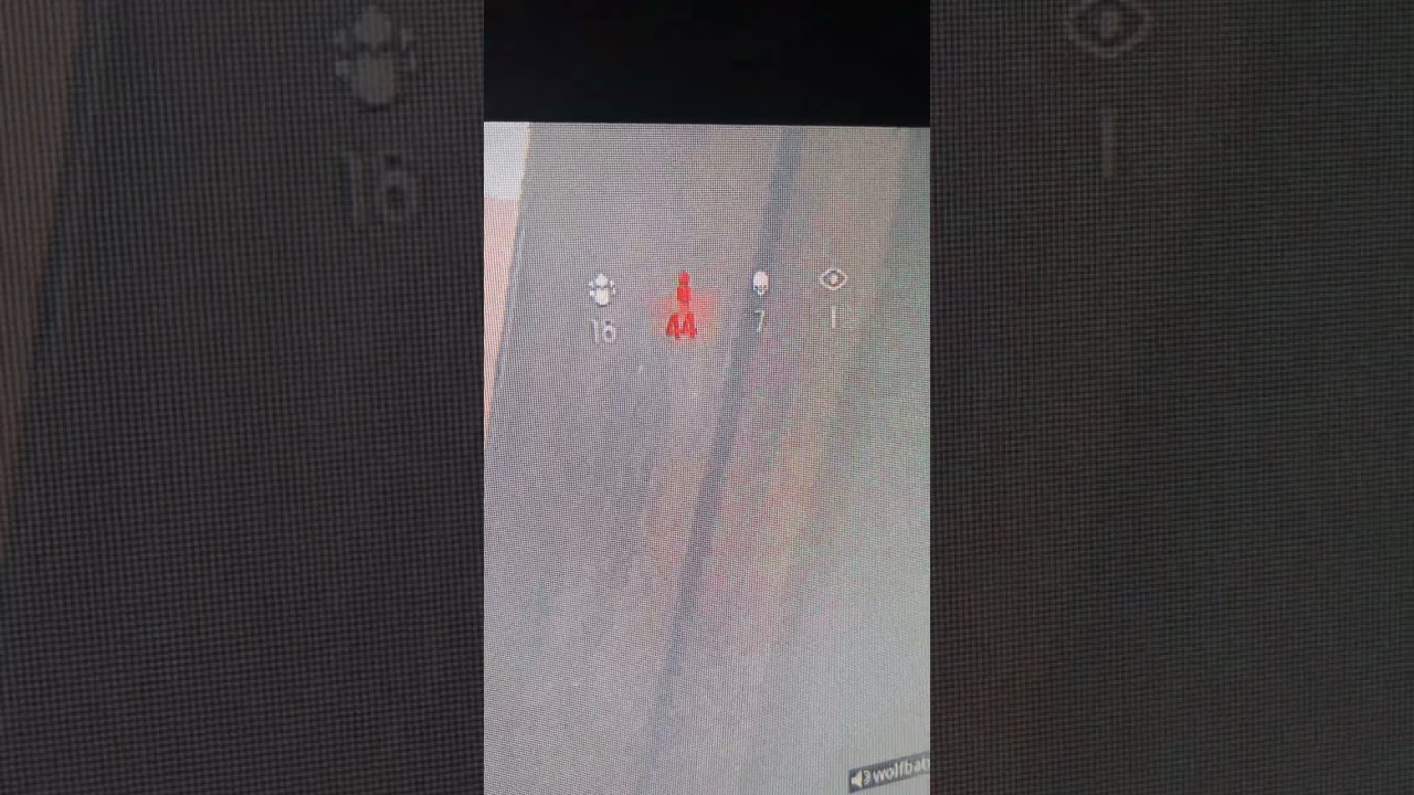 today's hi light. Monday February 26 2024