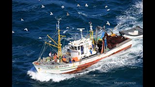 Traineira 'Pérola de Sesimbra'  Pesca da Sardinha 2005