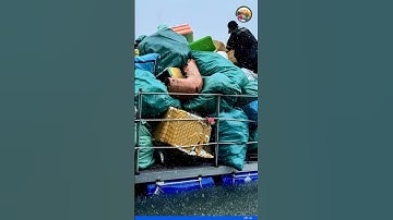 Thuê thợ lặn nhặt rác dưới rạn san hô Côn Đảo