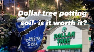 Dollar Tree potting soil- is it worth it?
