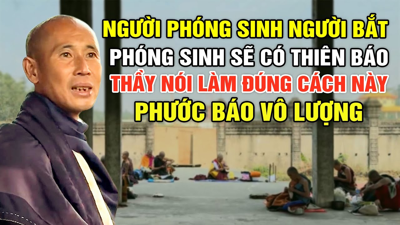 Người Phóng Sinh, Người Bắt - Phóng Sinh Sẽ Có Thiên Báo, Thầy Nói Làm Đúng Cách Phước Báo Vô Lượng