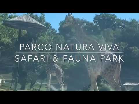 Viaggio al Parco Natura Viva di Bussolengo in 3 minuti