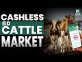 SBP Expands Cashless Eid Cattle Markets | Karachi | Faisal Rehman | Pakistan Connect